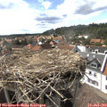 16_20-nest.jpg