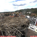 16_25-nest.jpg