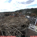 16_30-nest.jpg