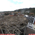 16_35-nest.jpg