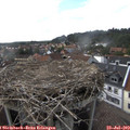 16_40-nest.jpg