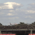 16_45-mast.jpg
