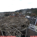 16_45-nest.jpg