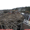 16_50-nest.jpg