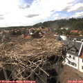16_55-nest.jpg