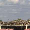 17_00-mast.jpg
