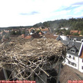 17_00-nest.jpg