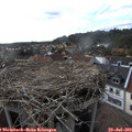 17_05-nest.jpg
