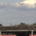 17_10-mast.jpg