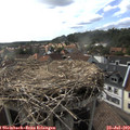 17_10-nest.jpg