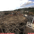 17_15-nest.jpg