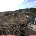 17_35-nest.jpg