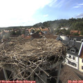 17_40-nest.jpg