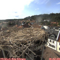17_45-nest.jpg