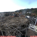 18_05-nest.jpg