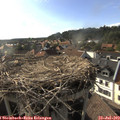 18_10-nest.jpg