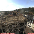 18_15-nest.jpg