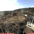18_20-nest.jpg