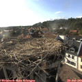 18_25-nest.jpg