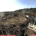 18_30-nest.jpg