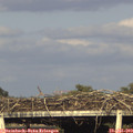 18_35-mast.jpg