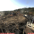 18_35-nest.jpg