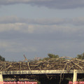 18_40-mast.jpg