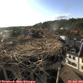 18_40-nest.jpg