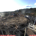 18_55-nest.jpg
