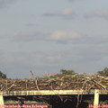 19_05-mast.jpg