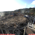 19_05-nest.jpg