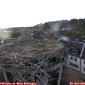 19_35-nest.jpg