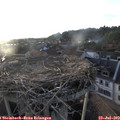 19_50-nest.jpg