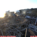 20_35-nest.jpg