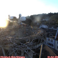 20_40-nest.jpg