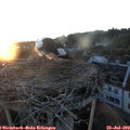 20_55-nest.jpg