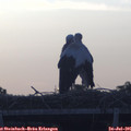 06_00-mast.jpg