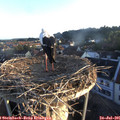 06_20-nest.jpg