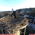 06_25-nest.jpg