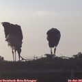 06_30-mast.jpg