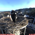 07_00-nest.jpg