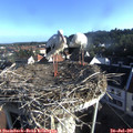 07_35-nest.jpg