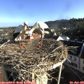 07_50-nest.jpg