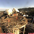 08_00-nest.jpg