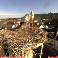 08_35-nest.jpg
