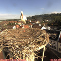 08_50-nest.jpg