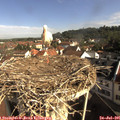 09_10-nest.jpg