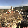 09_15-nest.jpg