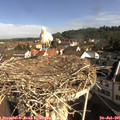 09_20-nest.jpg