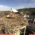 09_35-nest.jpg